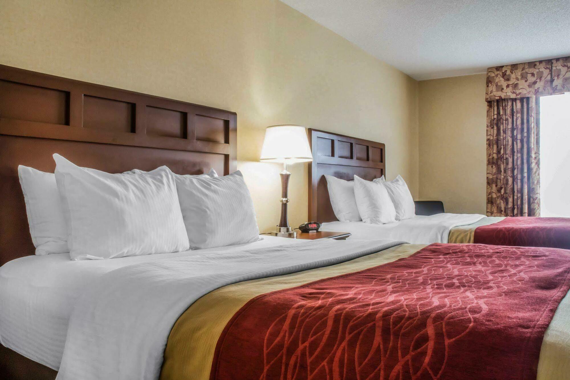 Comfort Inn & Suites Farmington - Victor Buitenkant foto